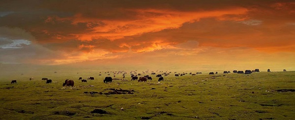 최초의 Prize Tianlu Co, Ltd Xichang 프로젝트 Wu Jindanzeng—— Sunxia muqujpg