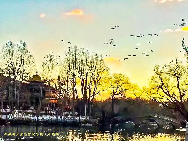 제 2 상지 Greening Pingcuo Langjie Untitled_procjpg